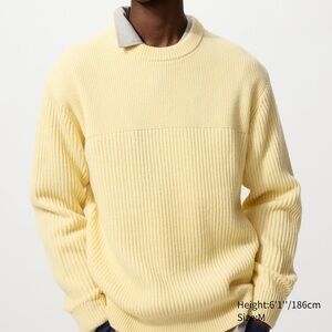 Uniqlo JW Anderson Ribbed Sweater